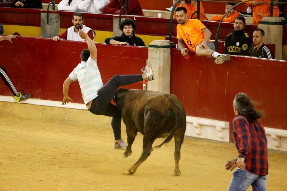 Vaquillas en las Fiesta del Pilar. Lunes 7