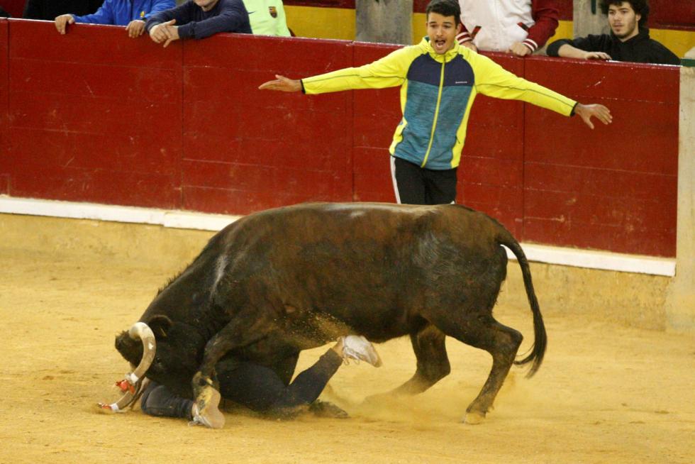 Vaquillas en las Fiesta del Pilar. Lunes 7
