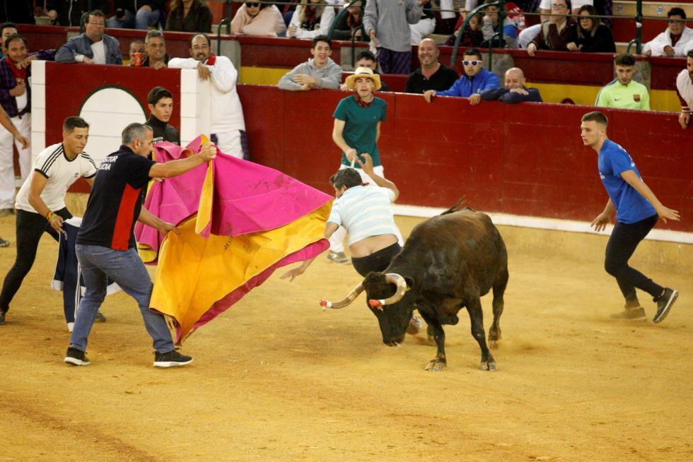 Vaquillas en las Fiesta del Pilar. Lunes 7