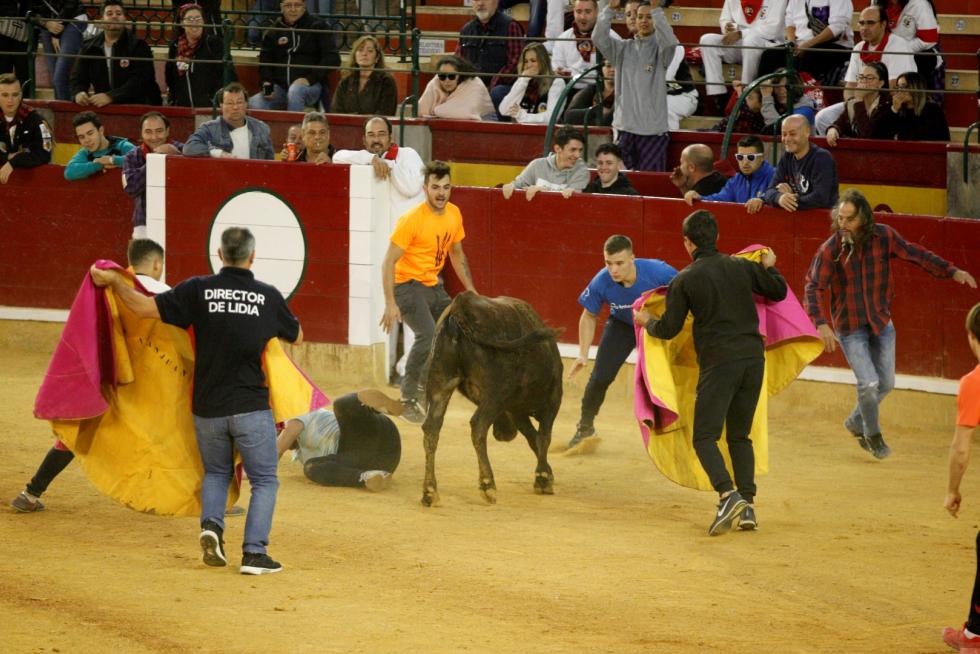 Vaquillas en las Fiesta del Pilar. Lunes 7
