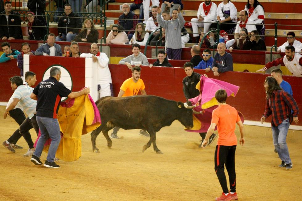 Vaquillas en las Fiesta del Pilar. Lunes 7