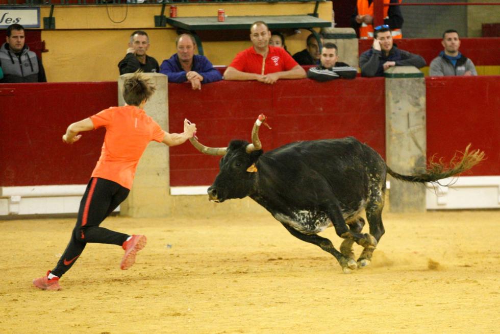 Vaquillas en las Fiesta del Pilar. Lunes 7