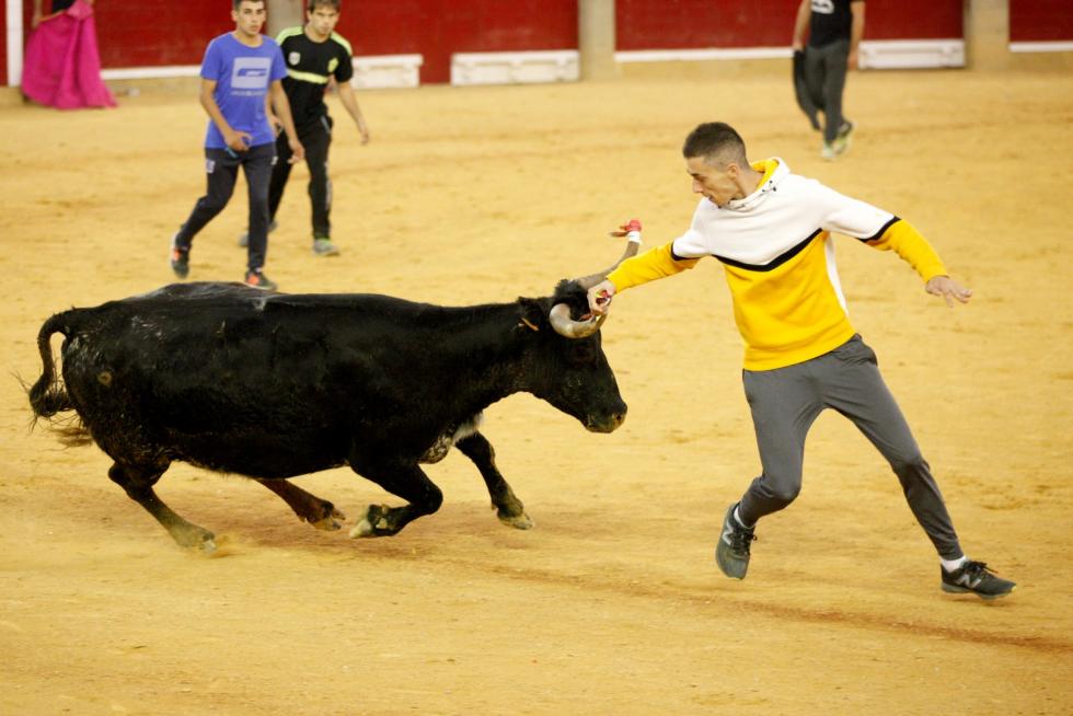 Vaquillas en las Fiesta del Pilar. Lunes 7