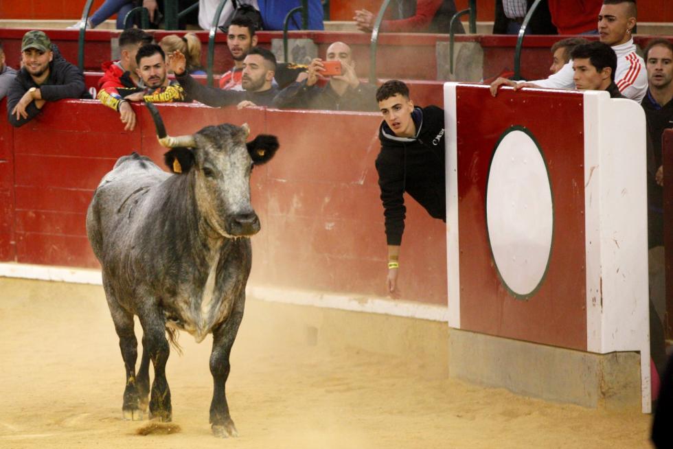 Vaquillas en las Fiesta del Pilar. Lunes 7