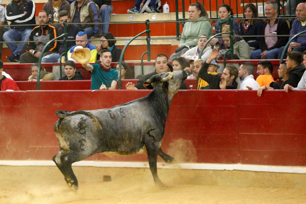 Vaquillas en las Fiesta del Pilar. Lunes 7