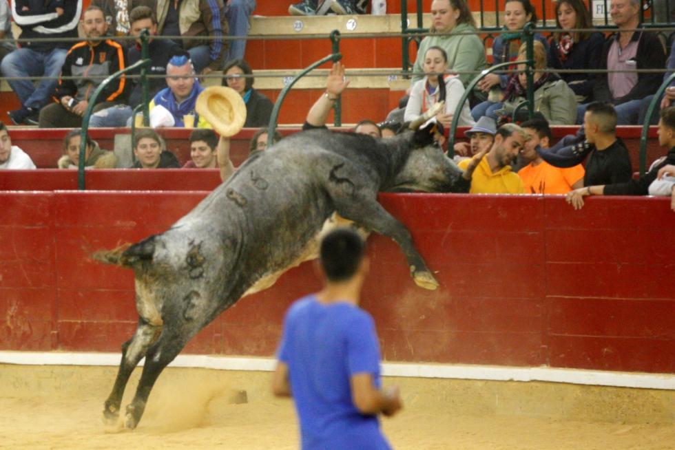 Vaquillas en las Fiesta del Pilar. Lunes 7