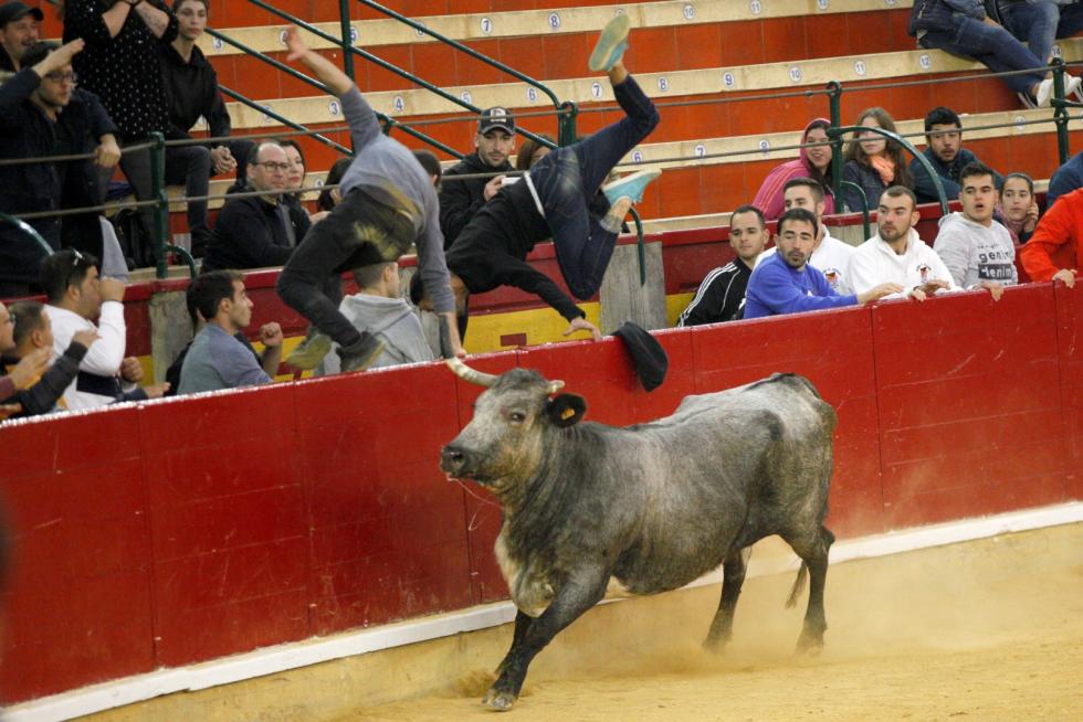 Vaquillas en las Fiesta del Pilar. Lunes 7
