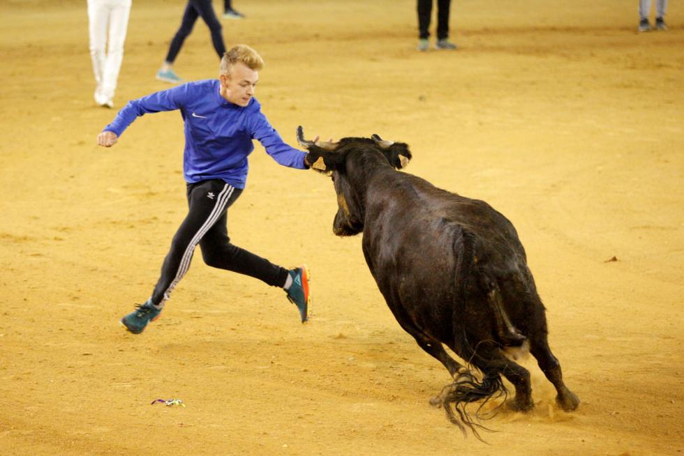 Vaquillas en las Fiesta del Pilar. Lunes 7