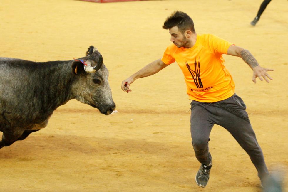 Vaquillas en las Fiesta del Pilar. Lunes 7