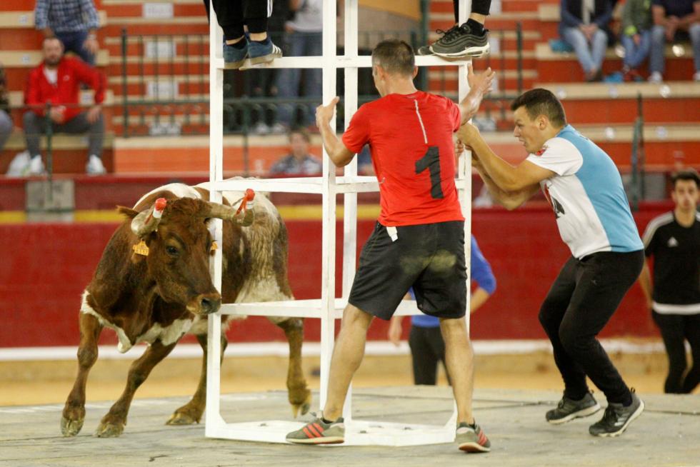 Vaquillas en las Fiesta del Pilar. Lunes 7