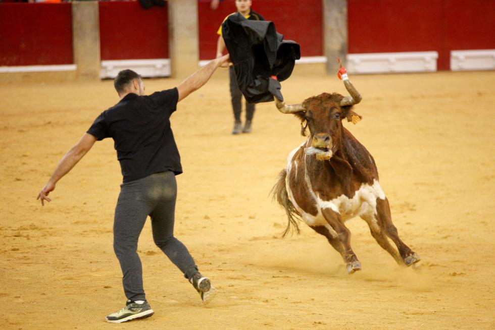 Vaquillas en las Fiesta del Pilar. Lunes 7