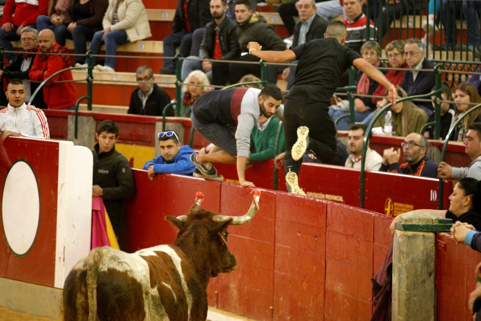 Vaquillas en las Fiesta del Pilar. Lunes 7