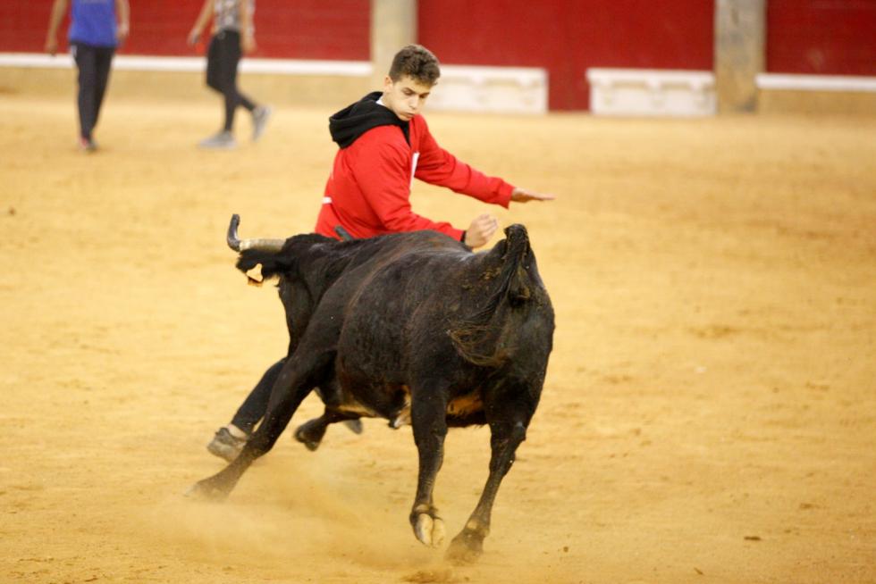 Vaquillas en las Fiesta del Pilar. Lunes 7