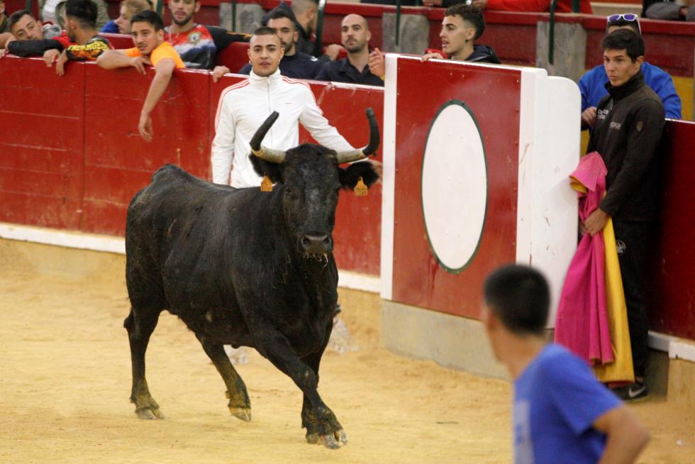 Vaquillas en las Fiesta del Pilar. Lunes 7