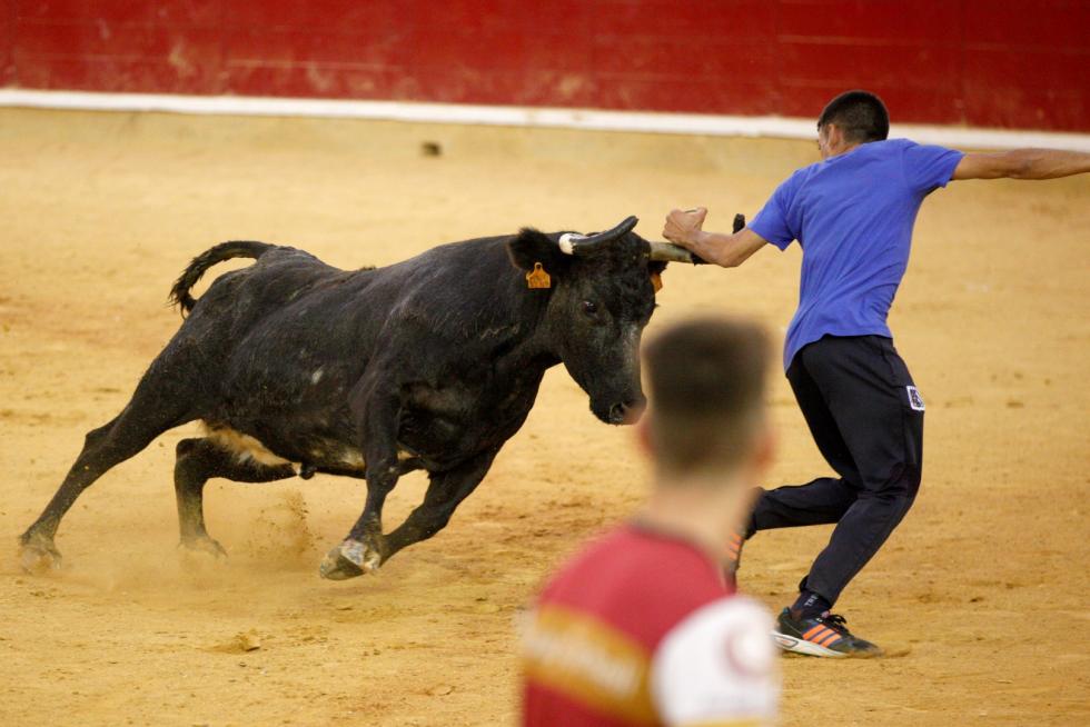 Vaquillas en las Fiesta del Pilar. Lunes 7
