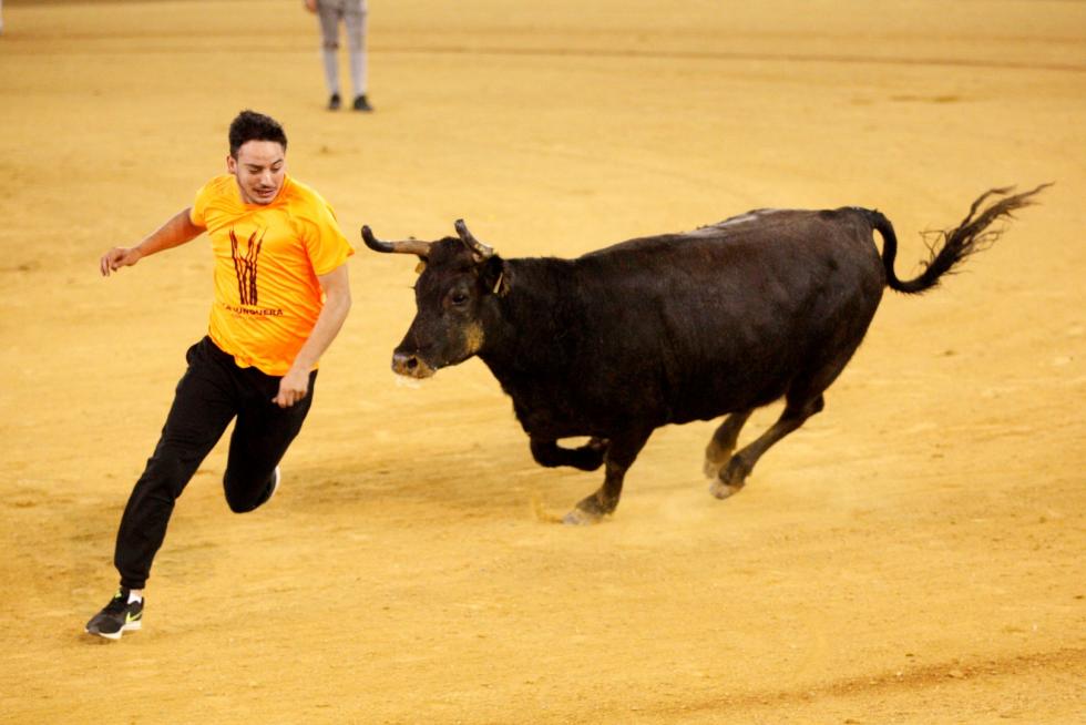 Vaquillas en las Fiesta del Pilar. Lunes 7