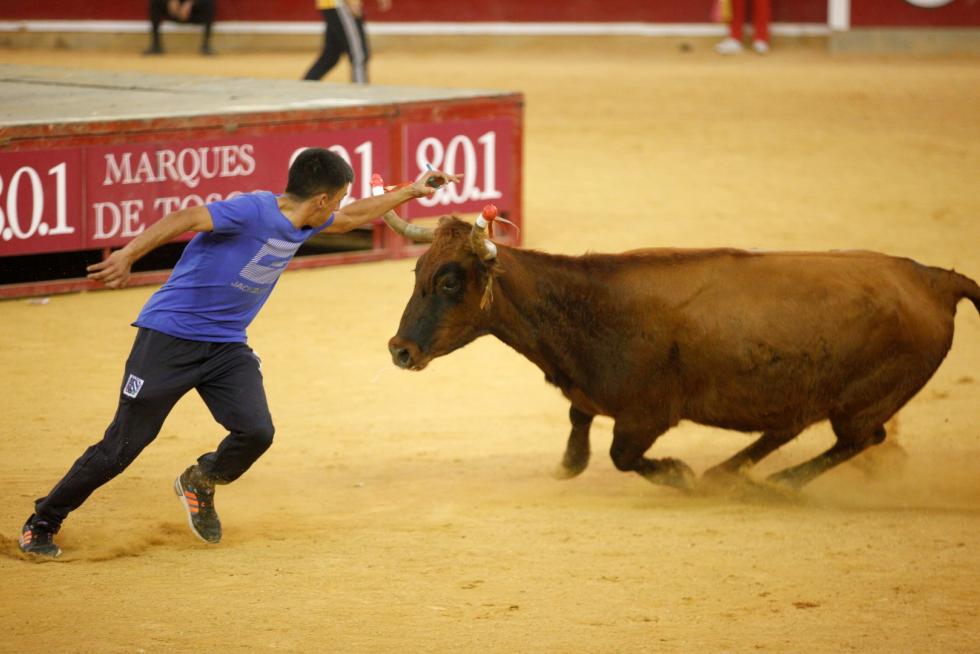 Vaquillas en las Fiesta del Pilar. Lunes 7