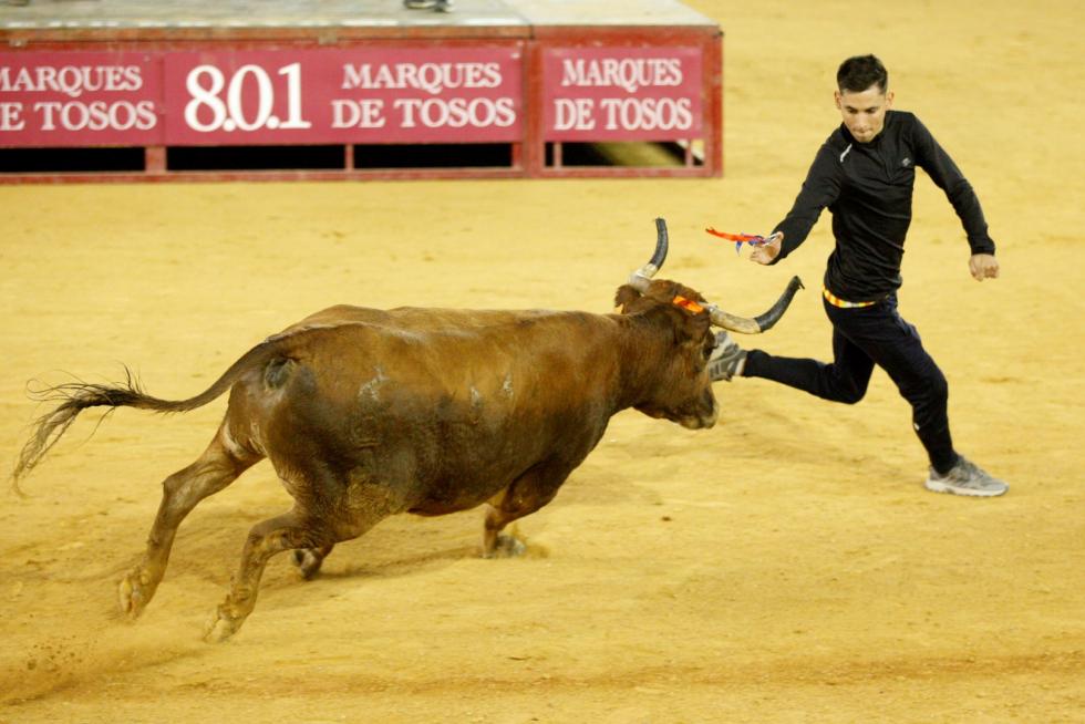 Vaquillas en las Fiesta del Pilar. Lunes 7