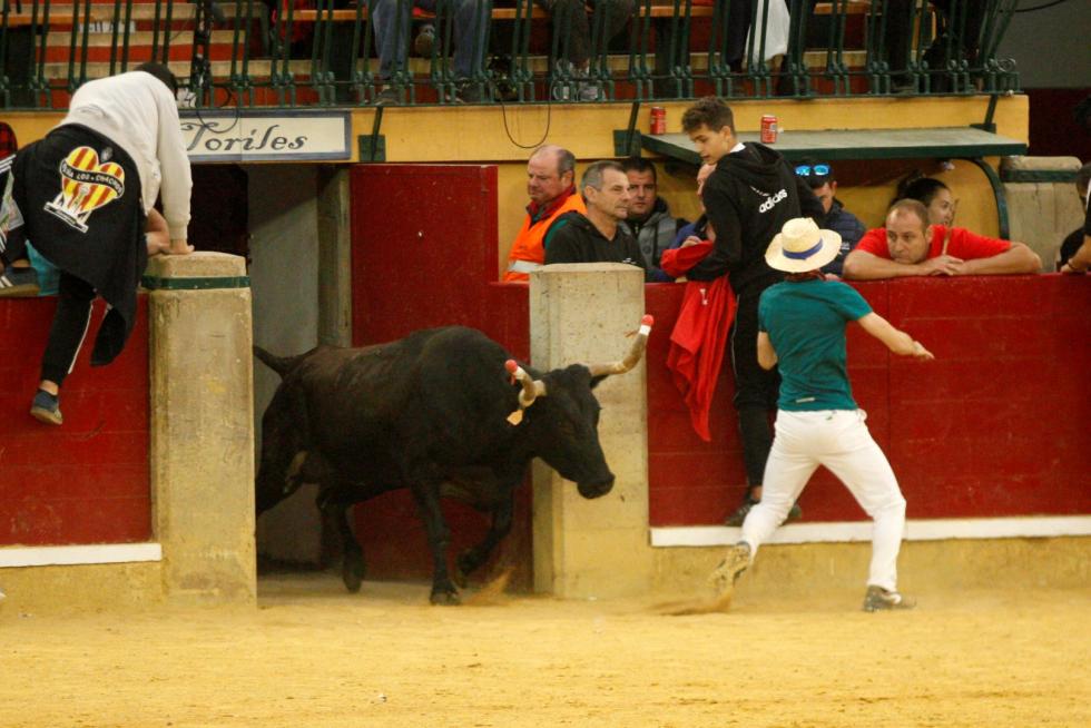 Vaquillas en las Fiesta del Pilar. Lunes 7