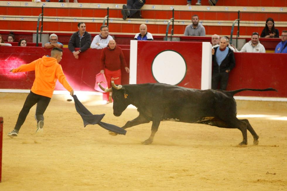 Vaquillas en las Fiesta del Pilar. Lunes 7