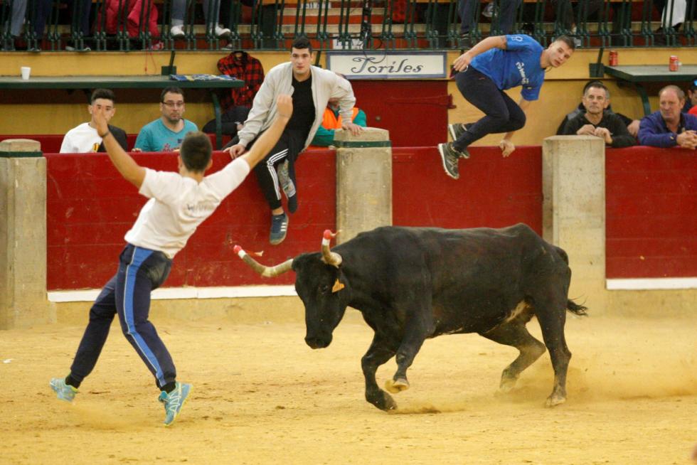 Vaquillas en las Fiesta del Pilar. Lunes 7