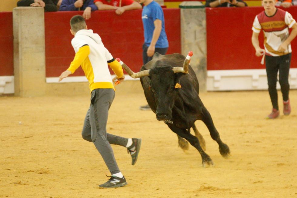 Vaquillas en las Fiesta del Pilar. Lunes 7