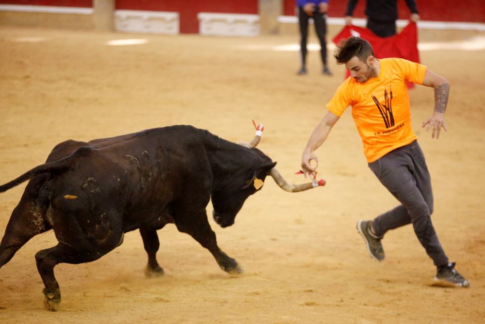 Vaquillas en las Fiesta del Pilar. Lunes 7