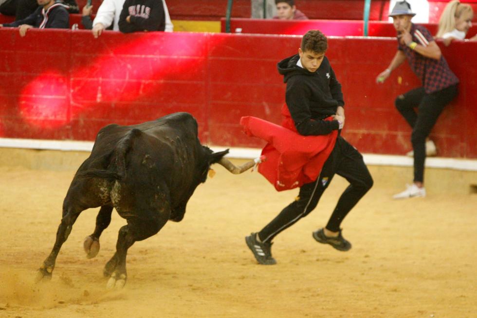 Vaquillas en las Fiesta del Pilar. Lunes 7