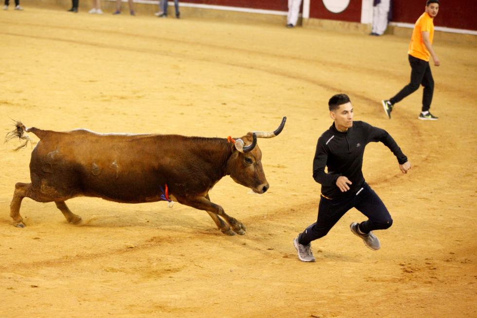 Vaquillas en las Fiesta del Pilar. Lunes 7