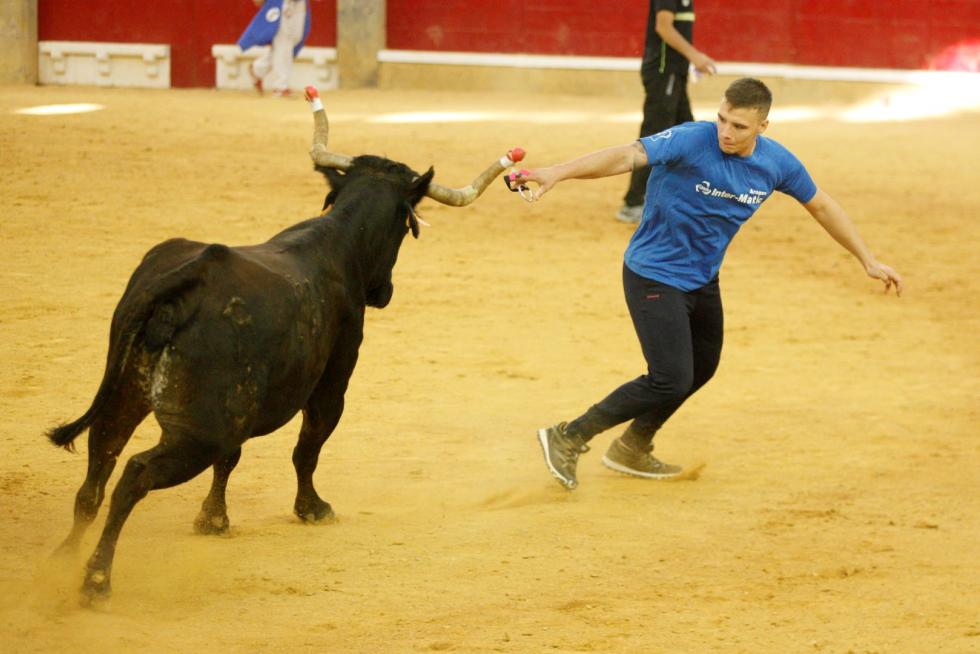 Vaquillas en las Fiesta del Pilar. Lunes 7