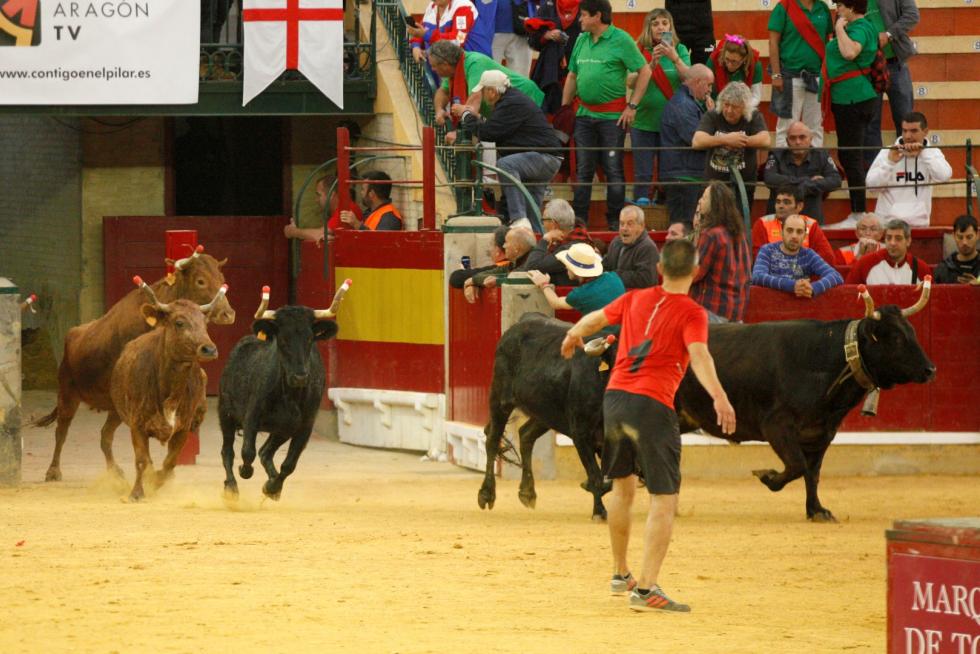 Vaquillas en las Fiesta del Pilar. Lunes 7