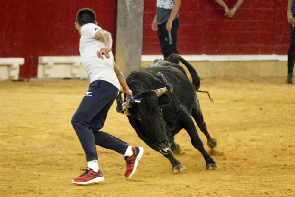 4º jornada de vaquillas en las fiestas del Pilar.