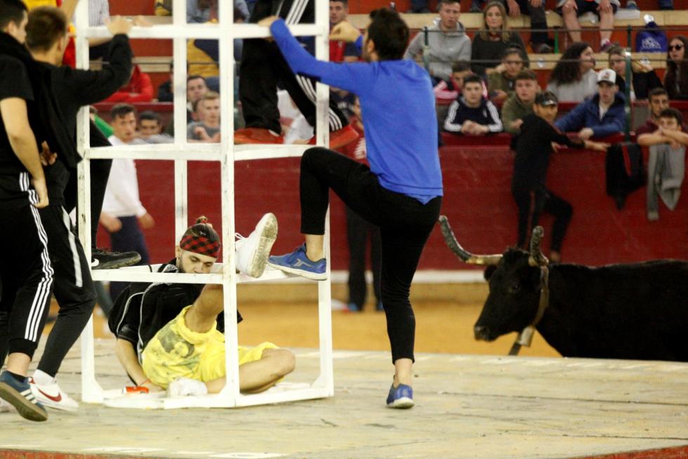 4º jornada de vaquillas en las fiestas del Pilar.