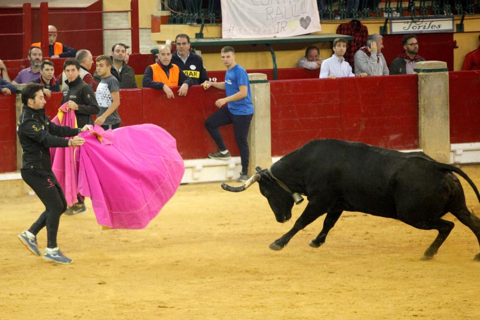 4º jornada de vaquillas en las fiestas del Pilar.