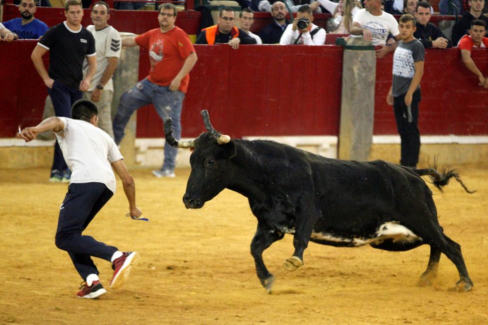 4º jornada de vaquillas en las fiestas del Pilar.