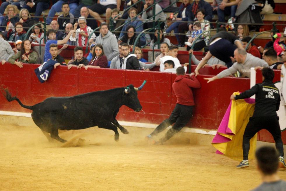 4º jornada de vaquillas en las fiestas del Pilar.