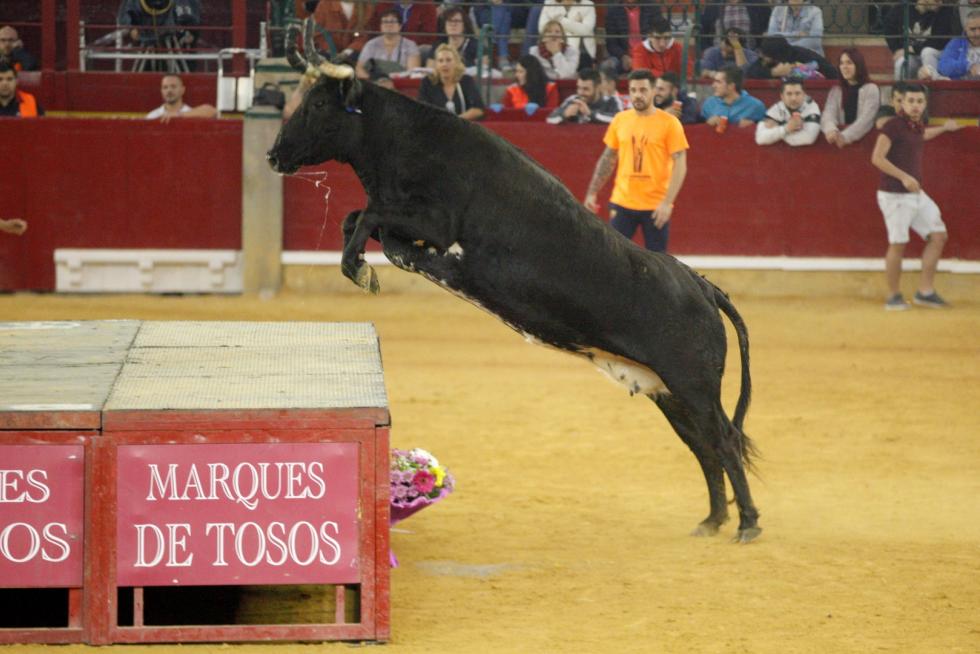 4º jornada de vaquillas en las fiestas del Pilar.