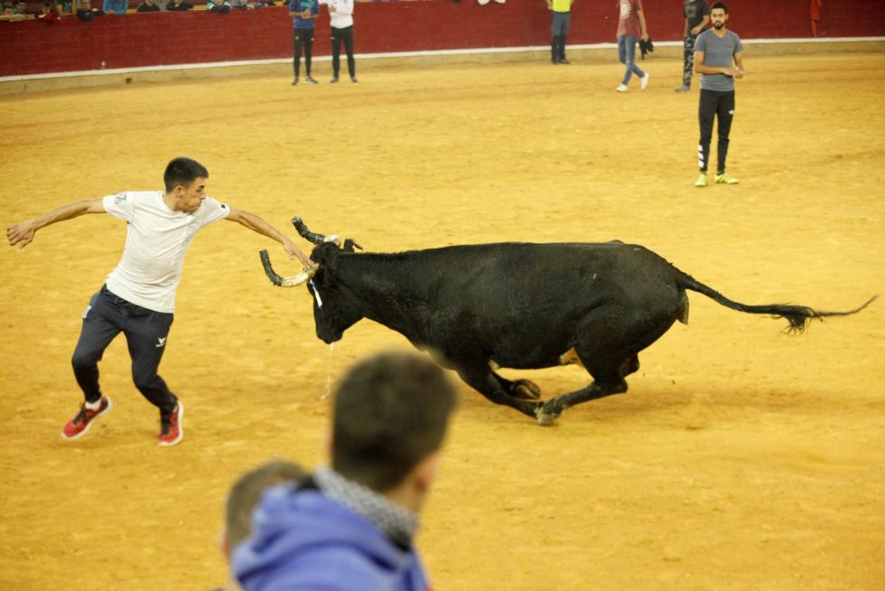 4º jornada de vaquillas en las fiestas del Pilar.