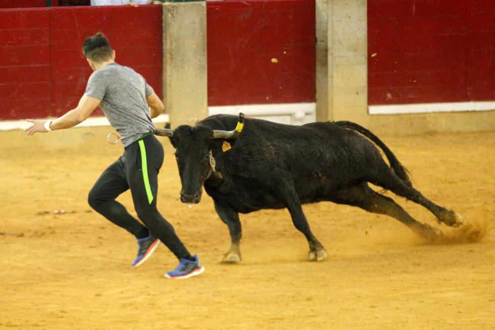 4º jornada de vaquillas en las fiestas del Pilar.