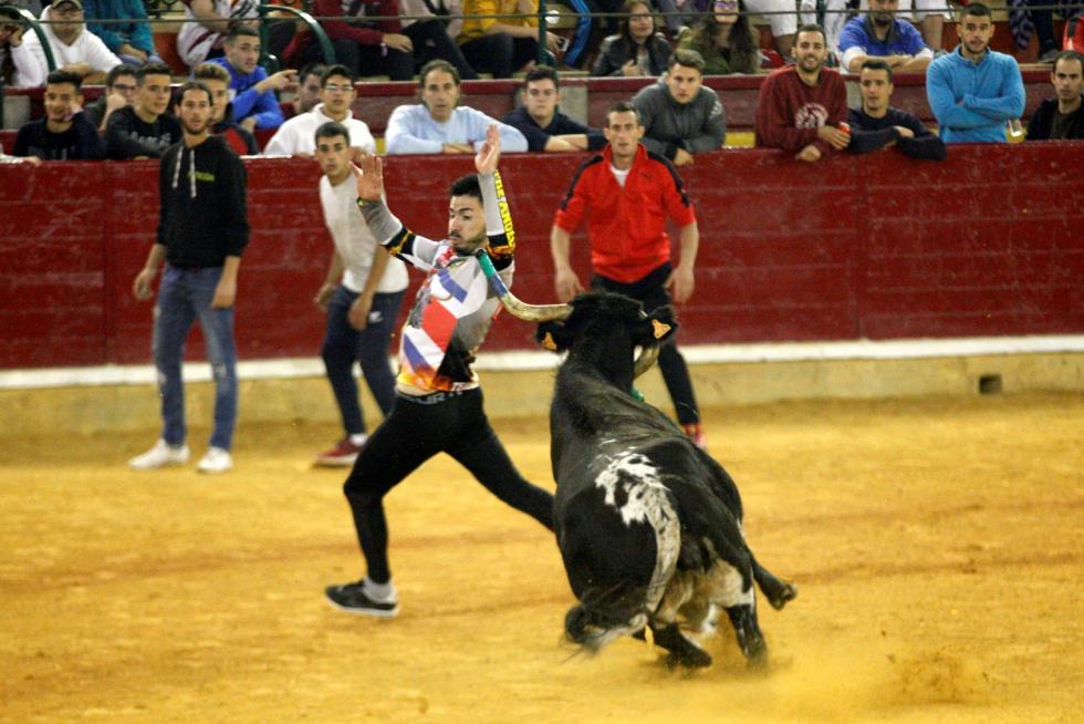 Ganaderías de la tierra para la 4ª jornada de vaquillas de las fiestas del Pilar.
