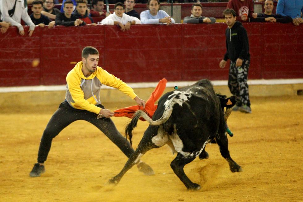 Ganaderías de la tierra para la 4ª jornada de vaquillas de las fiestas del Pilar.