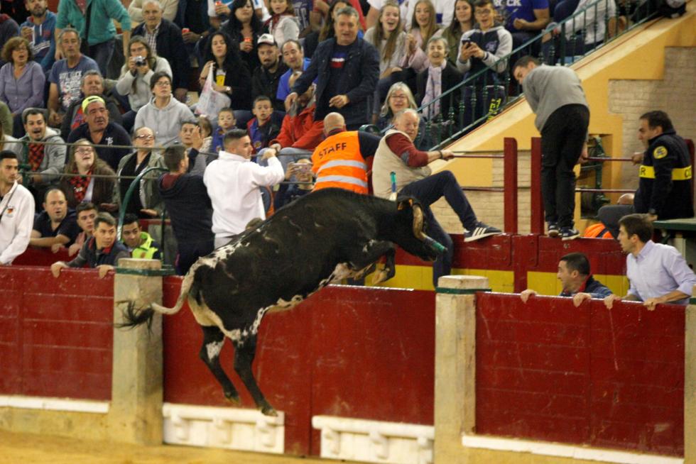 Ganaderías de la tierra para la 4ª jornada de vaquillas de las fiestas del Pilar.