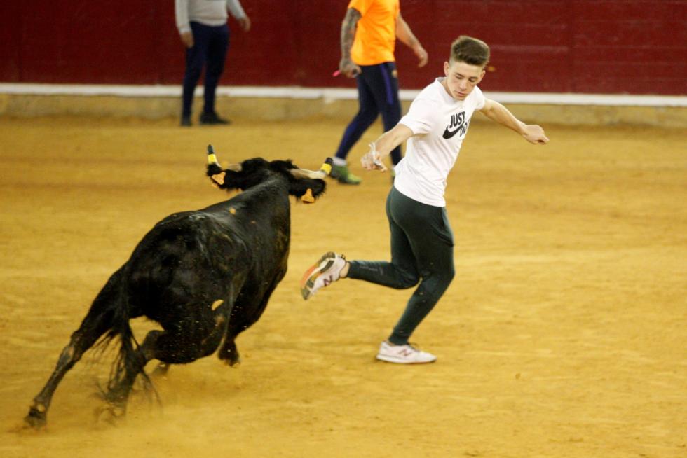 Ganaderías de la tierra para la 4ª jornada de vaquillas de las fiestas del Pilar.