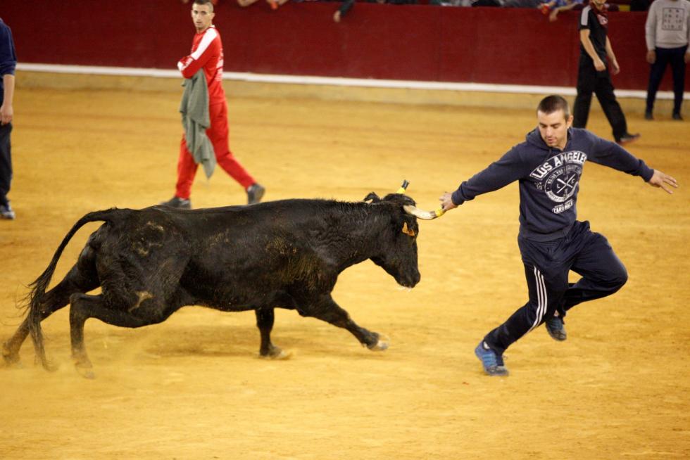 Ganaderías de la tierra para la 4ª jornada de vaquillas de las fiestas del Pilar.