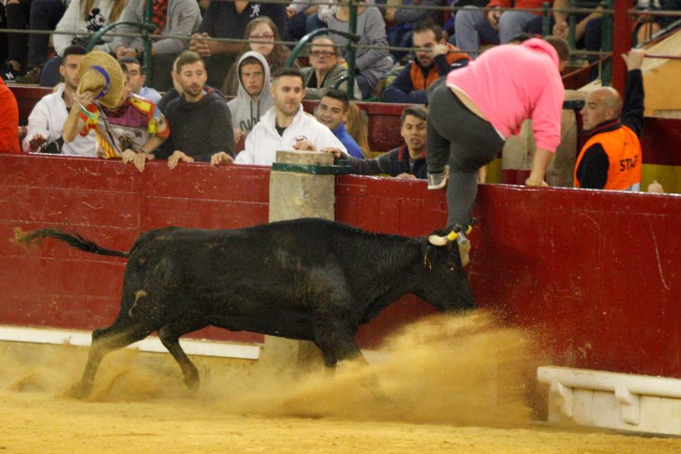 Ganaderías de la tierra para la 4ª jornada de vaquillas de las fiestas del Pilar.
