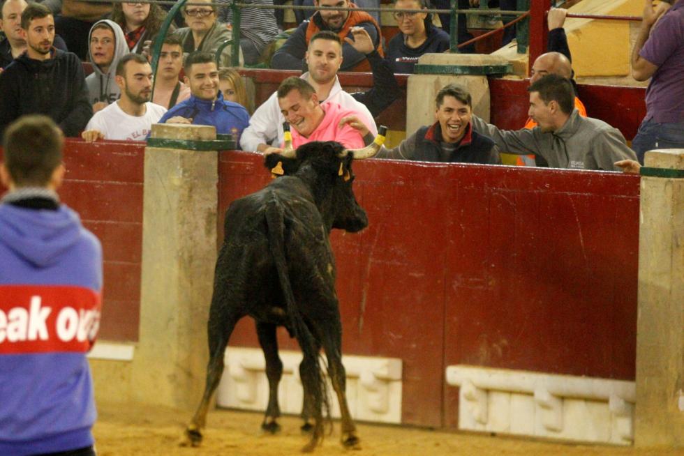Ganaderías de la tierra para la 4ª jornada de vaquillas de las fiestas del Pilar.
