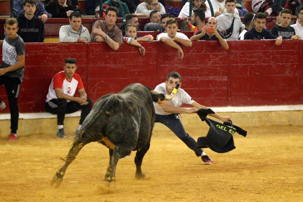 Ganaderías de la tierra para la 4ª jornada de vaquillas de las fiestas del Pilar.