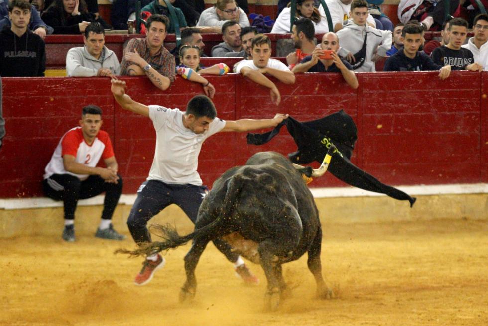 Ganaderías de la tierra para la 4ª jornada de vaquillas de las fiestas del Pilar.