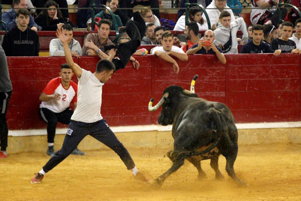Ganaderías de la tierra para la 4ª jornada de vaquillas de las fiestas del Pilar.
