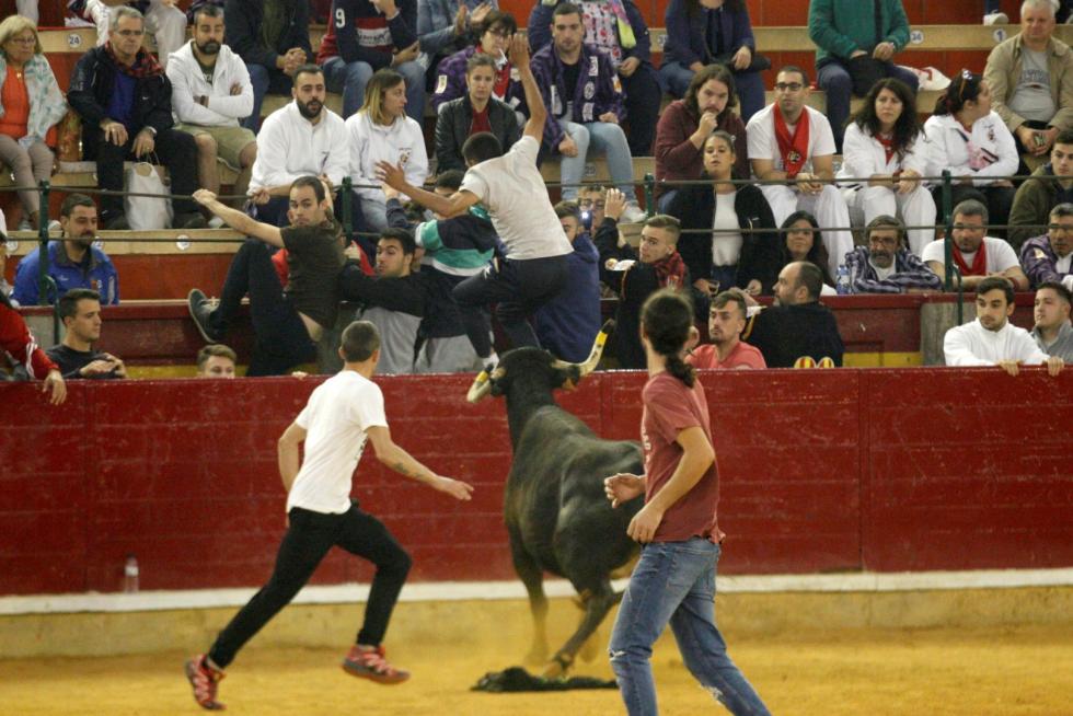 Ganaderías de la tierra para la 4ª jornada de vaquillas de las fiestas del Pilar.